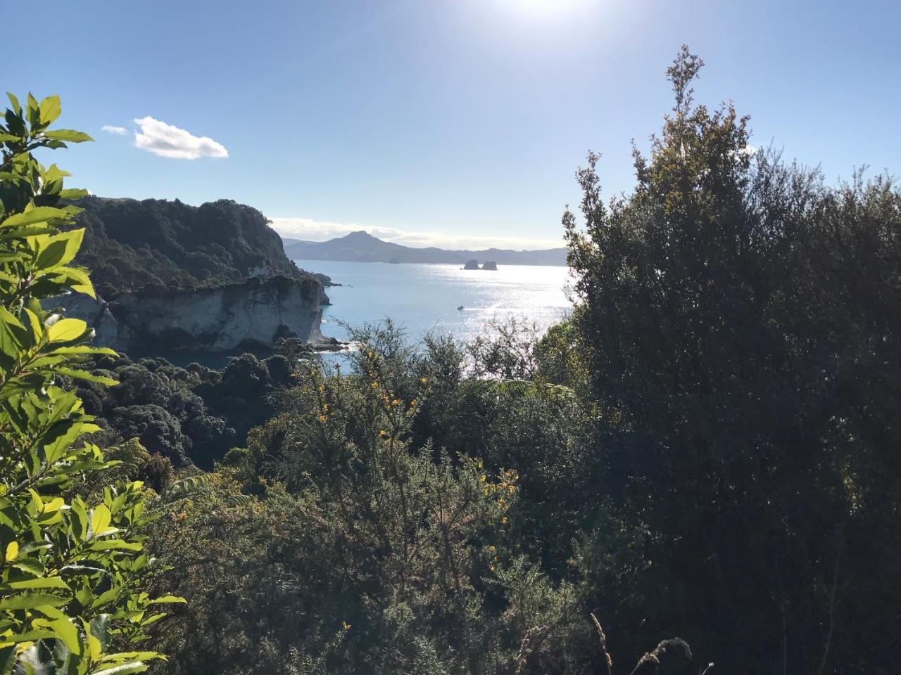 Hahei Retreat Ξενοδοχείο Εξωτερικό φωτογραφία